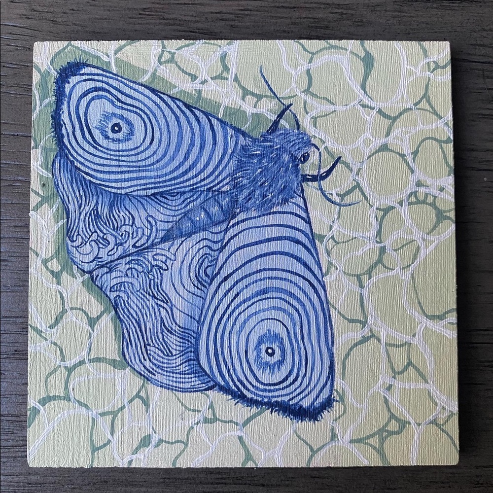 Moth mini painting